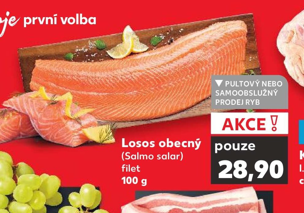 Losos obecný