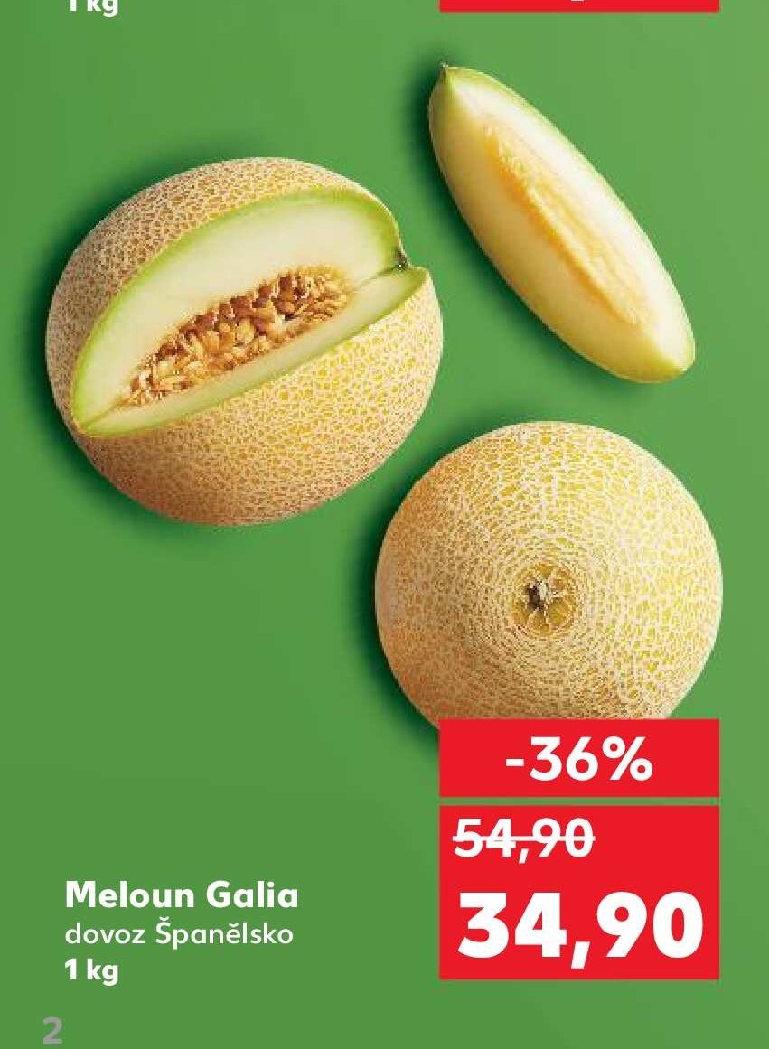 Meloun Galia