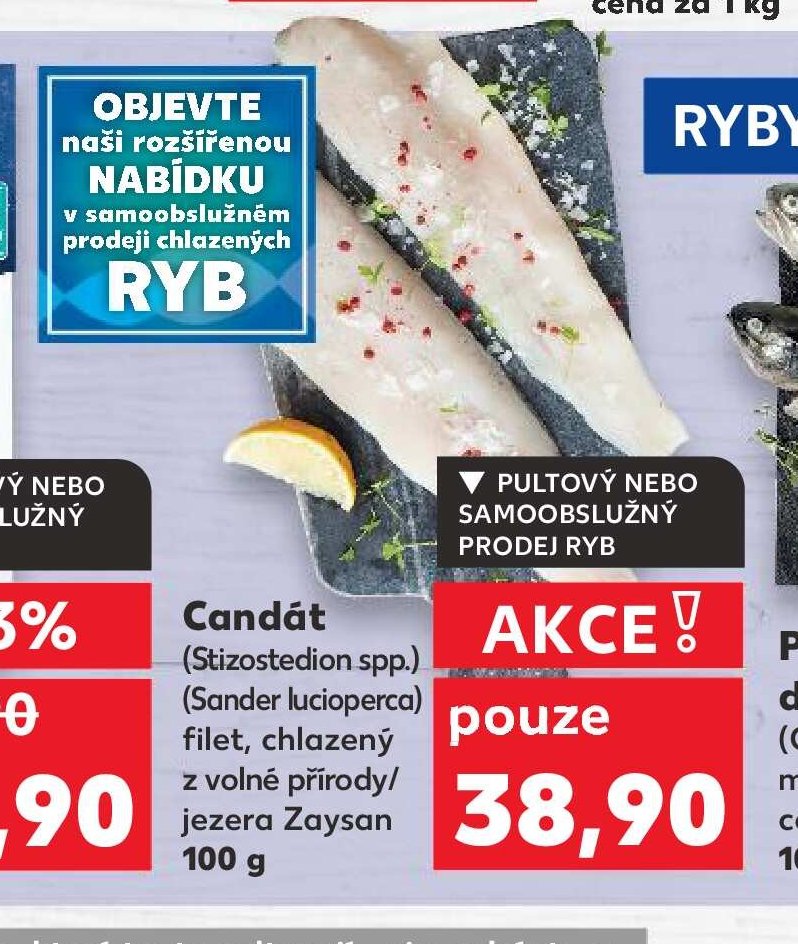 Candát