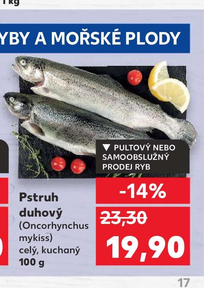 Pstruh duhový
