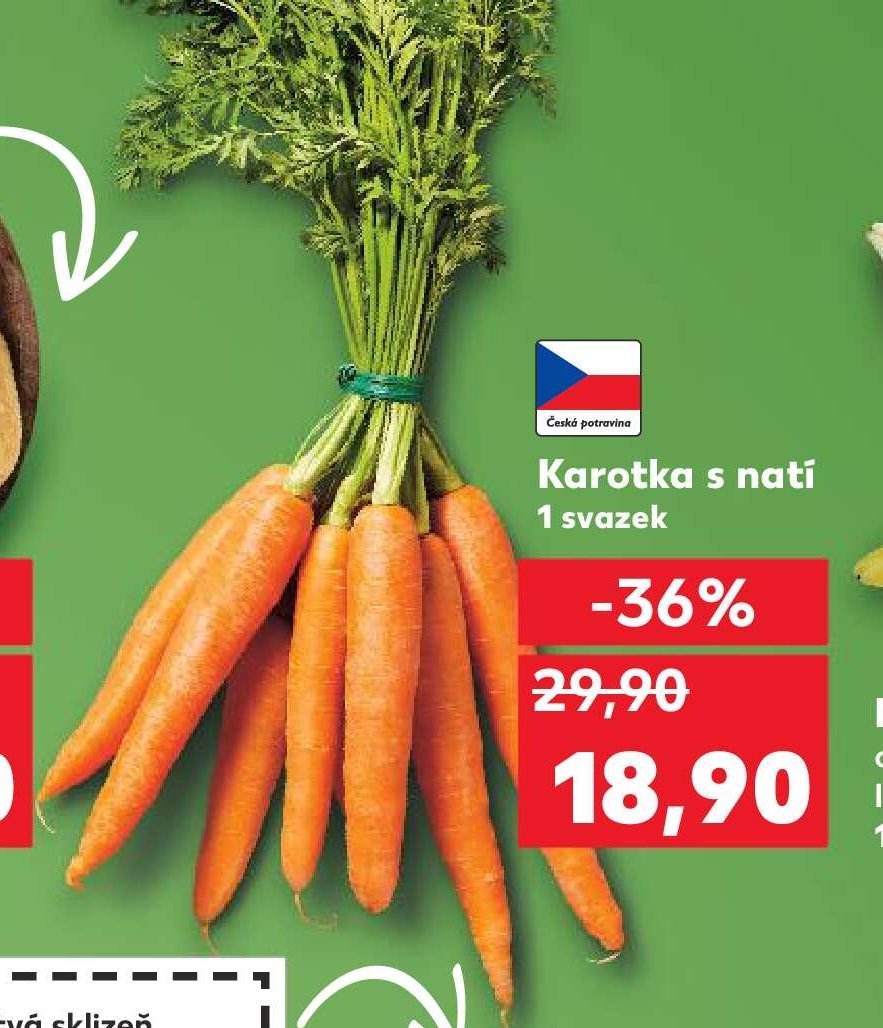 Karotka s natí