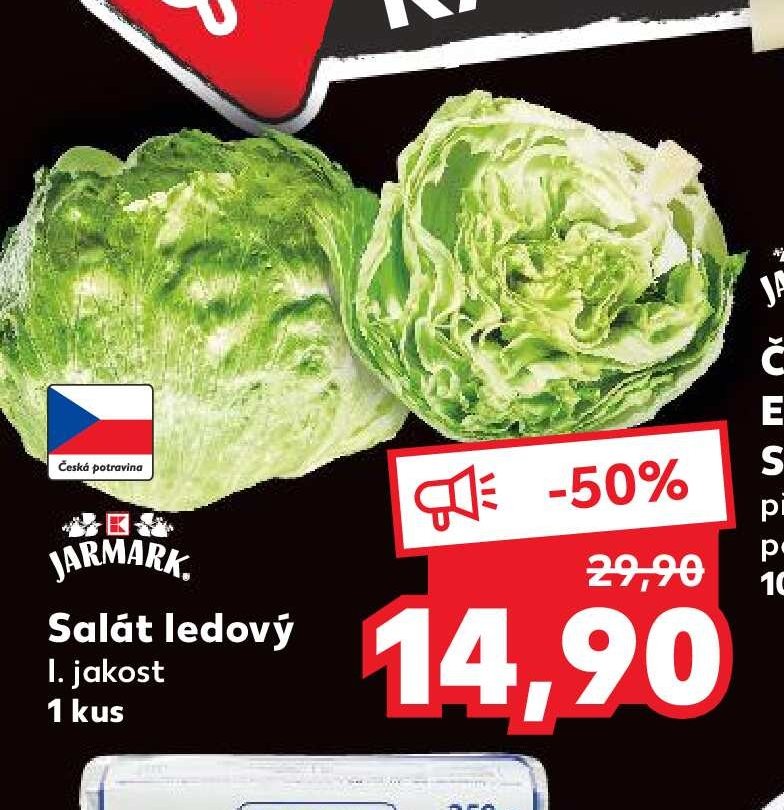 Salát ledový