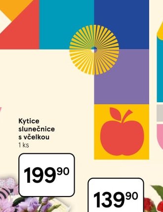 Kytice slunečnice