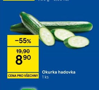 Okurka hadovka 1 ks