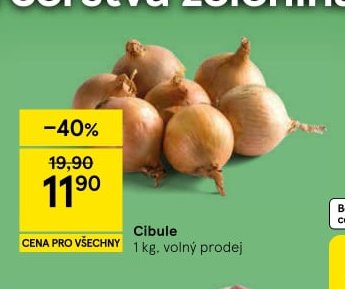 Cibule