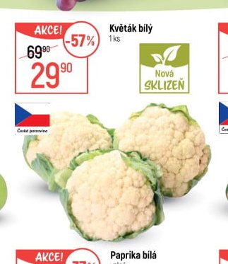 Květák bílý