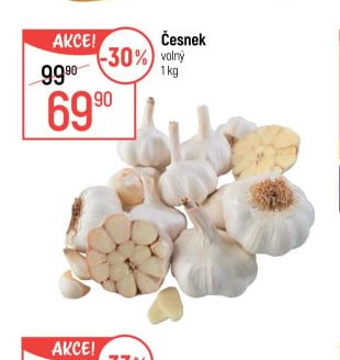 Česnek