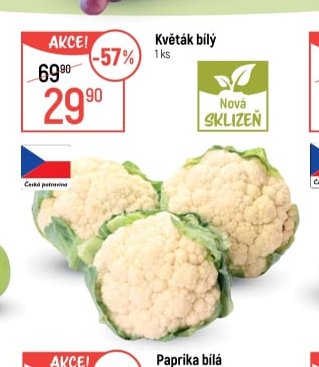 Květák bílý