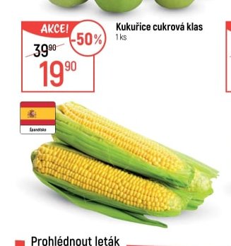 Kukuřice cukrová klas