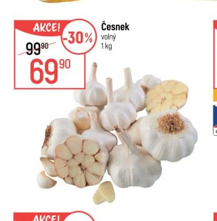 Česnek