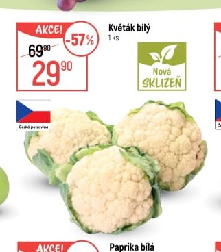 Květák bílý