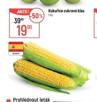 Kukuřice cukrová klas