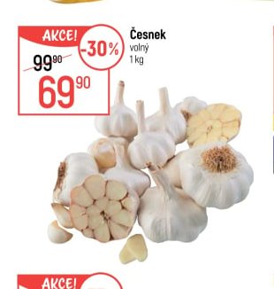 Česnek