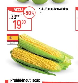 Kukuřice cukrová klas