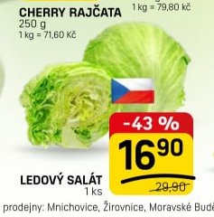 LEDOVÝ SALÁT