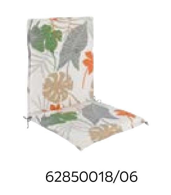 62850018/06