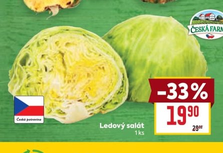 Ledový salát