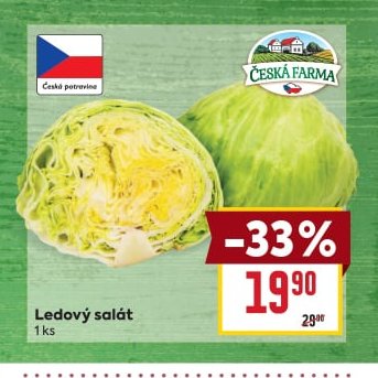 Ledový salát