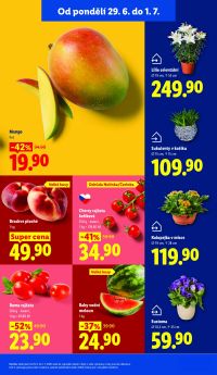 akční leták Lidl 29.6.2026-1.7.2026