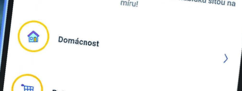 Domácnost