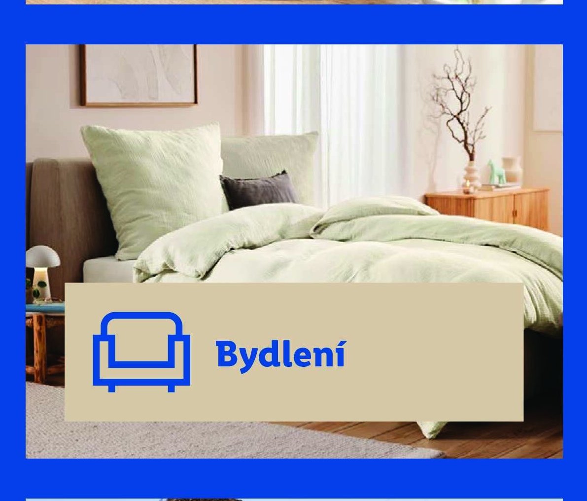 Bydlení