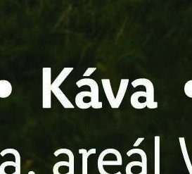 Káva