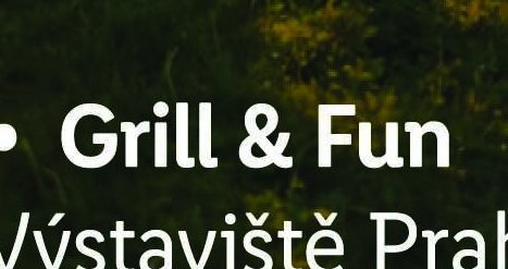 Grill & Fun