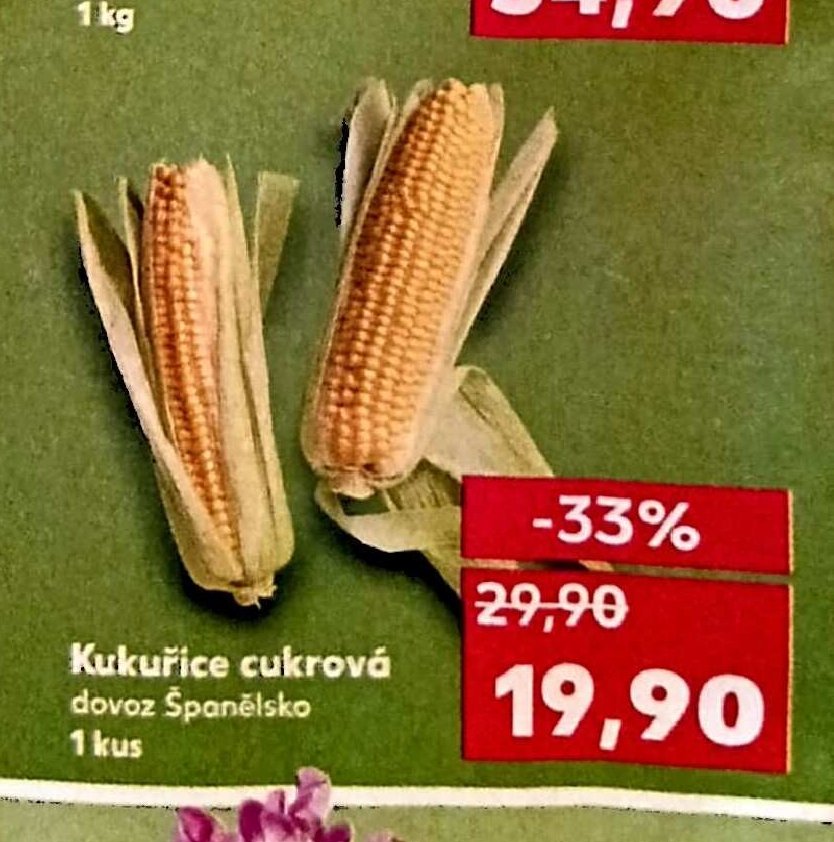Kukuřice cukrová