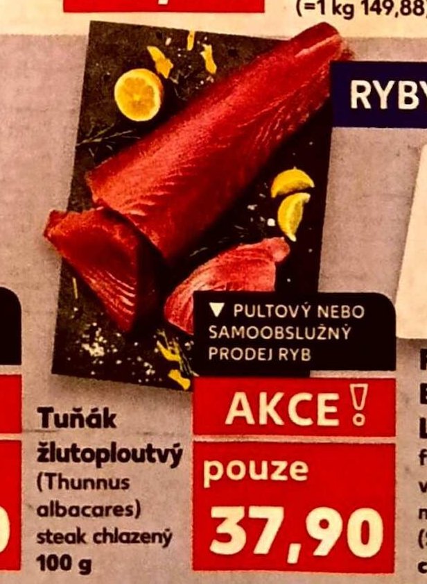 Tuňák žlutoploutvý