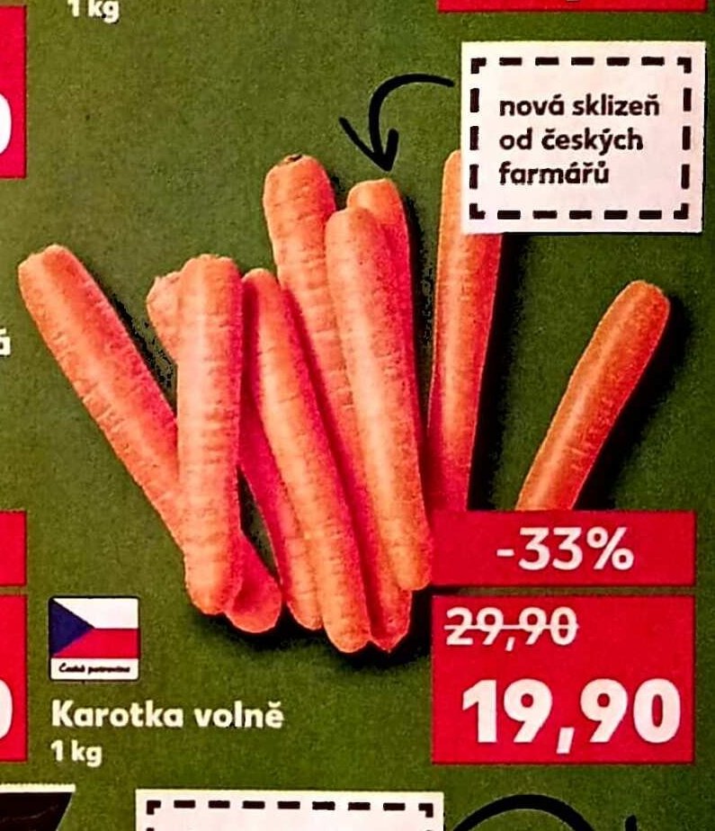 Karotka volně