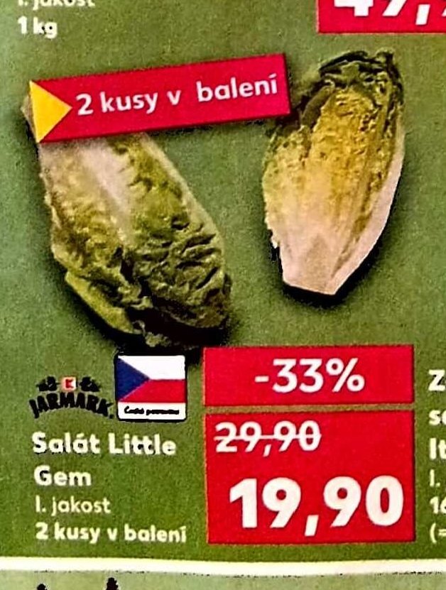 Salát Little Gem