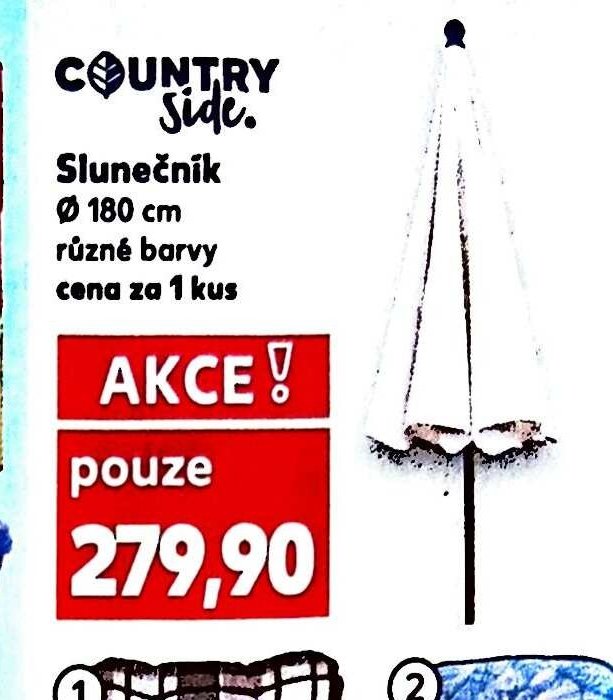 Slunečník