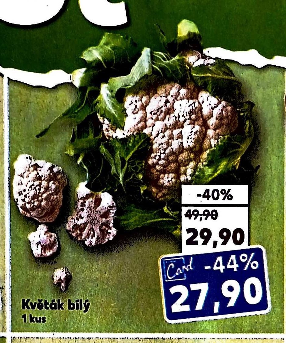 Květák bílý
