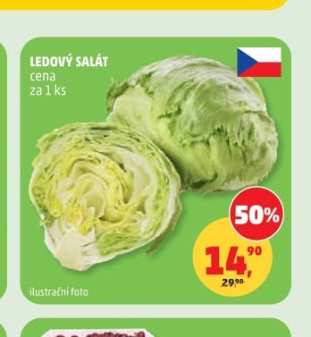 Ledový salát