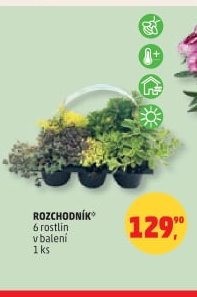 ROZCHODNÍK