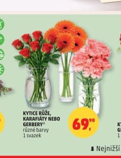 KYTICE RŮŽE, KARAFIÁTY NEBO GERBERY