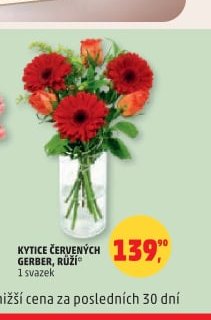 KYTICE ČERVENÝCH GERBER, RŮŽÍ