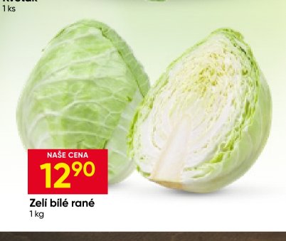 Zelí bílé rané