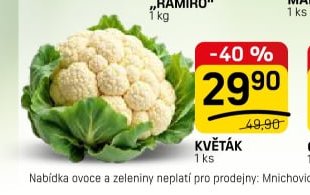 KVĚTÁK 1 ks