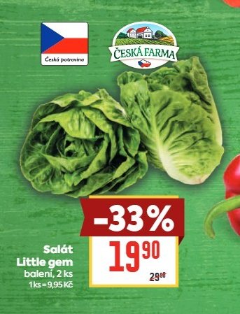 Salát Little gem
