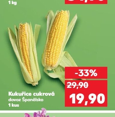 Kukuřice cukrová