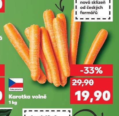 Karotka volně