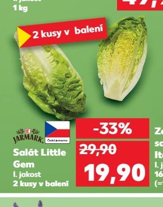 Salát Little Gem