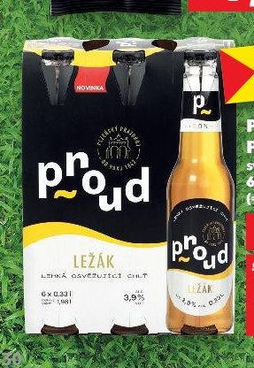 Proud Ležák 6x0,33l