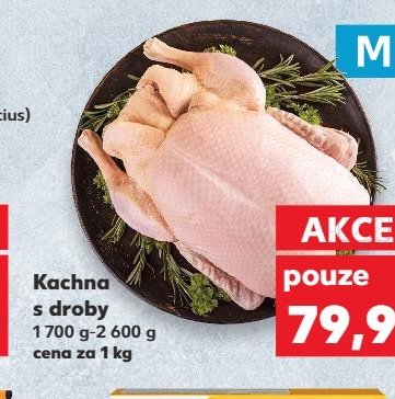 Kachna s droby
