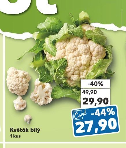 Květák bílý