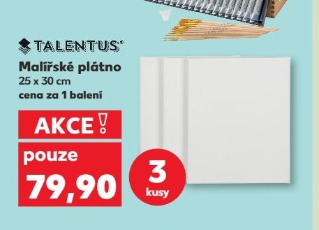 Malířské plátno
