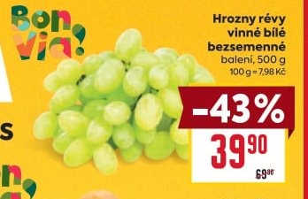 Hrozny révy vinné bílé bezsemenné