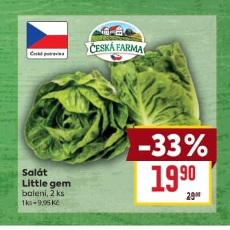 Salát Little gem