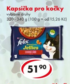 Kapsička pro kočky